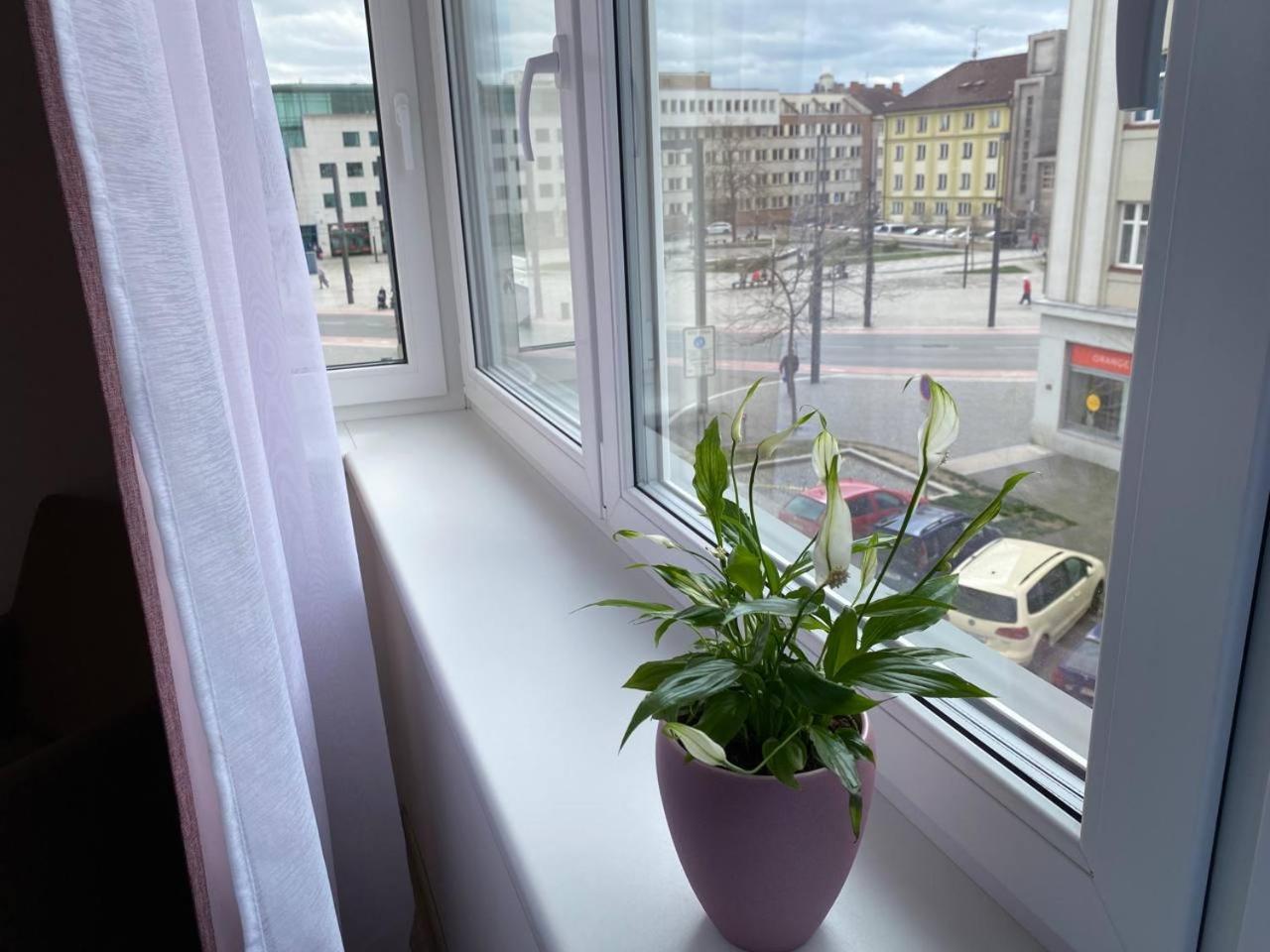 Perla Hradce 202 Apartman Hradec Králové Kültér fotó